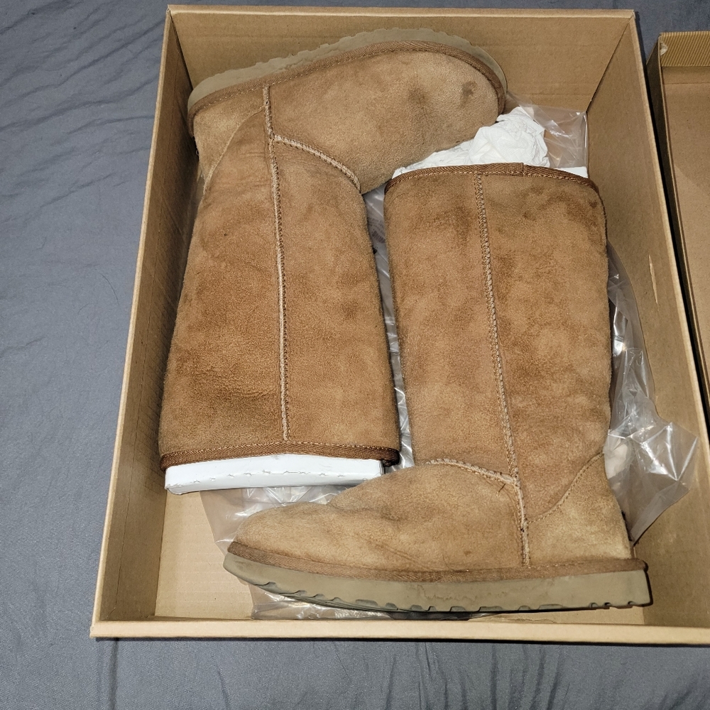 Classic Tall Chestnut Uggs